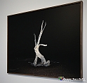VBS_1809 - Nuovo Museo delle Gallerie d'Italia_Intesa San Paolo_a_Torino